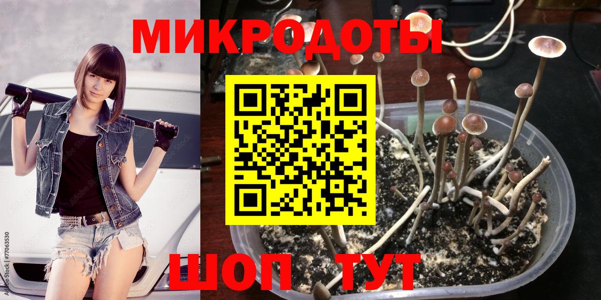 Галлюциногенные грибы мицелий  Вход с VPN  Борисоглебск  Галлюциногенные грибы GOLDEN TEACHER 