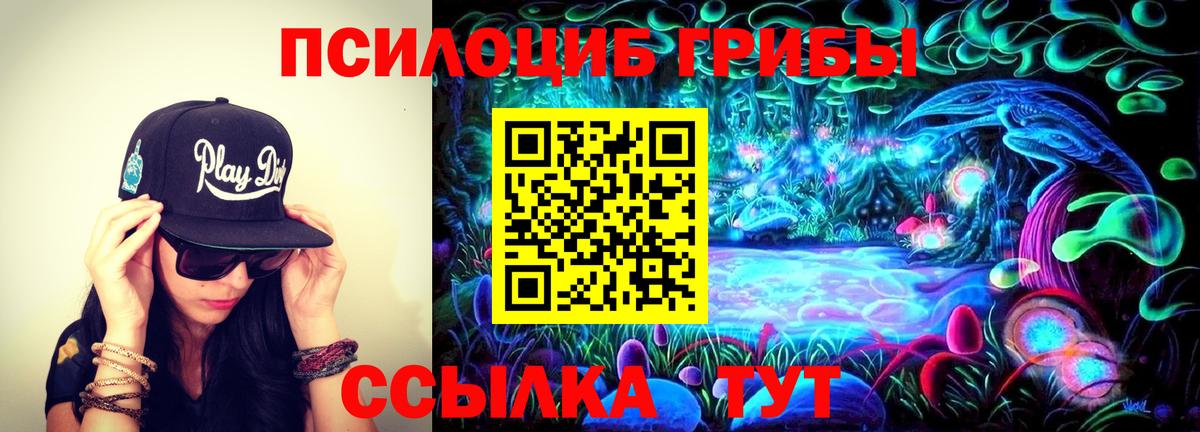 Псилоцибиновые грибы ЛСД Борисоглебск